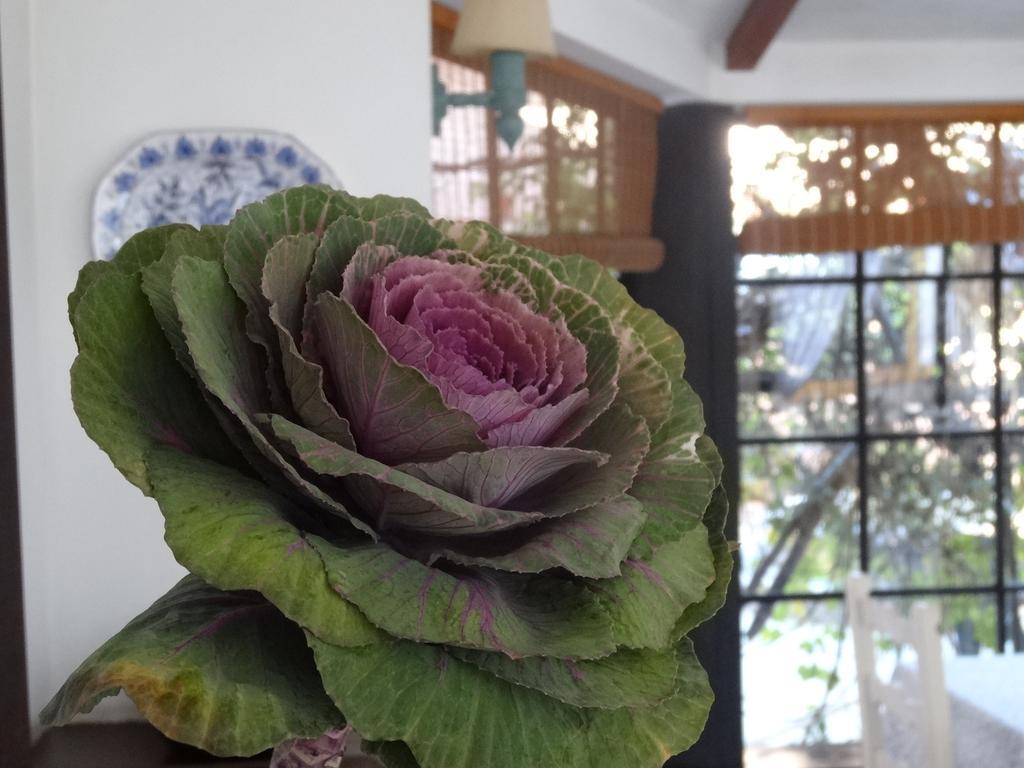Posada De La Flor Колония дел Сакременто Стая снимка