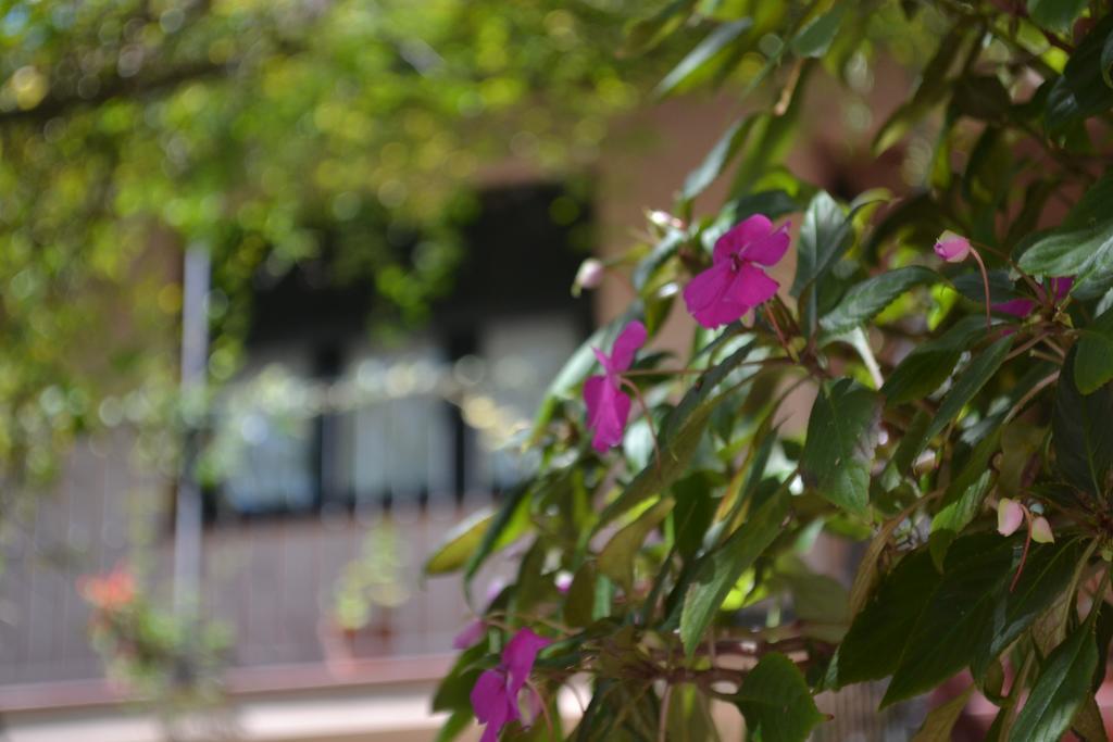 Posada De La Flor Колония дел Сакременто Екстериор снимка