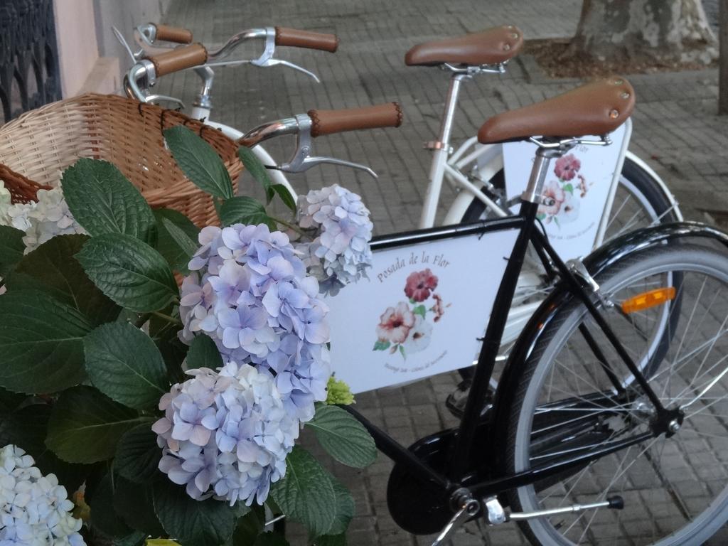 Posada De La Flor Колония дел Сакременто Екстериор снимка